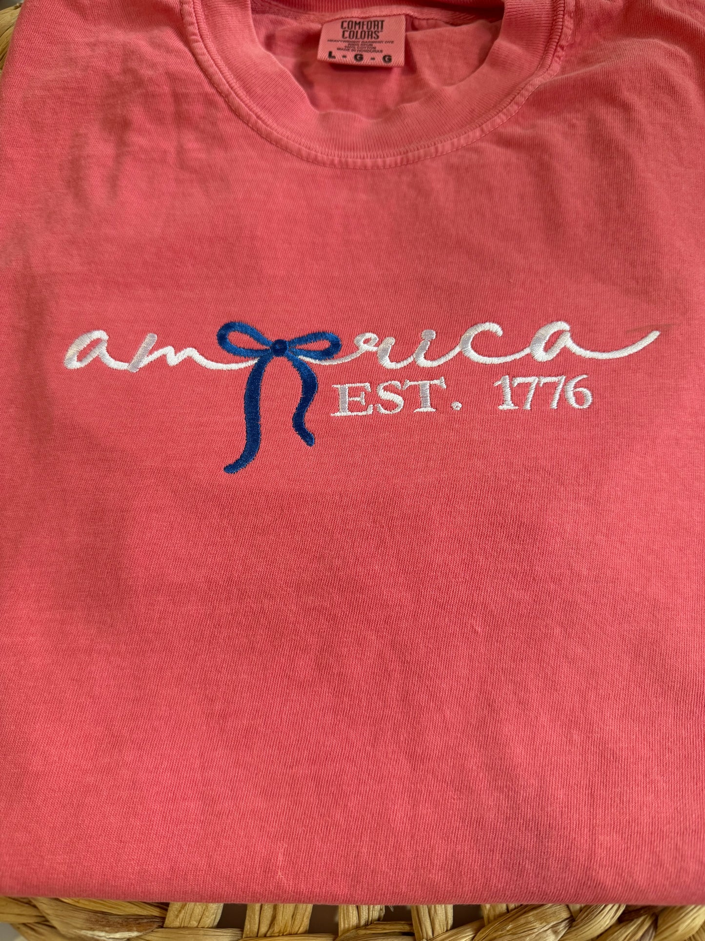 Patriotic America embroidered tee shirt