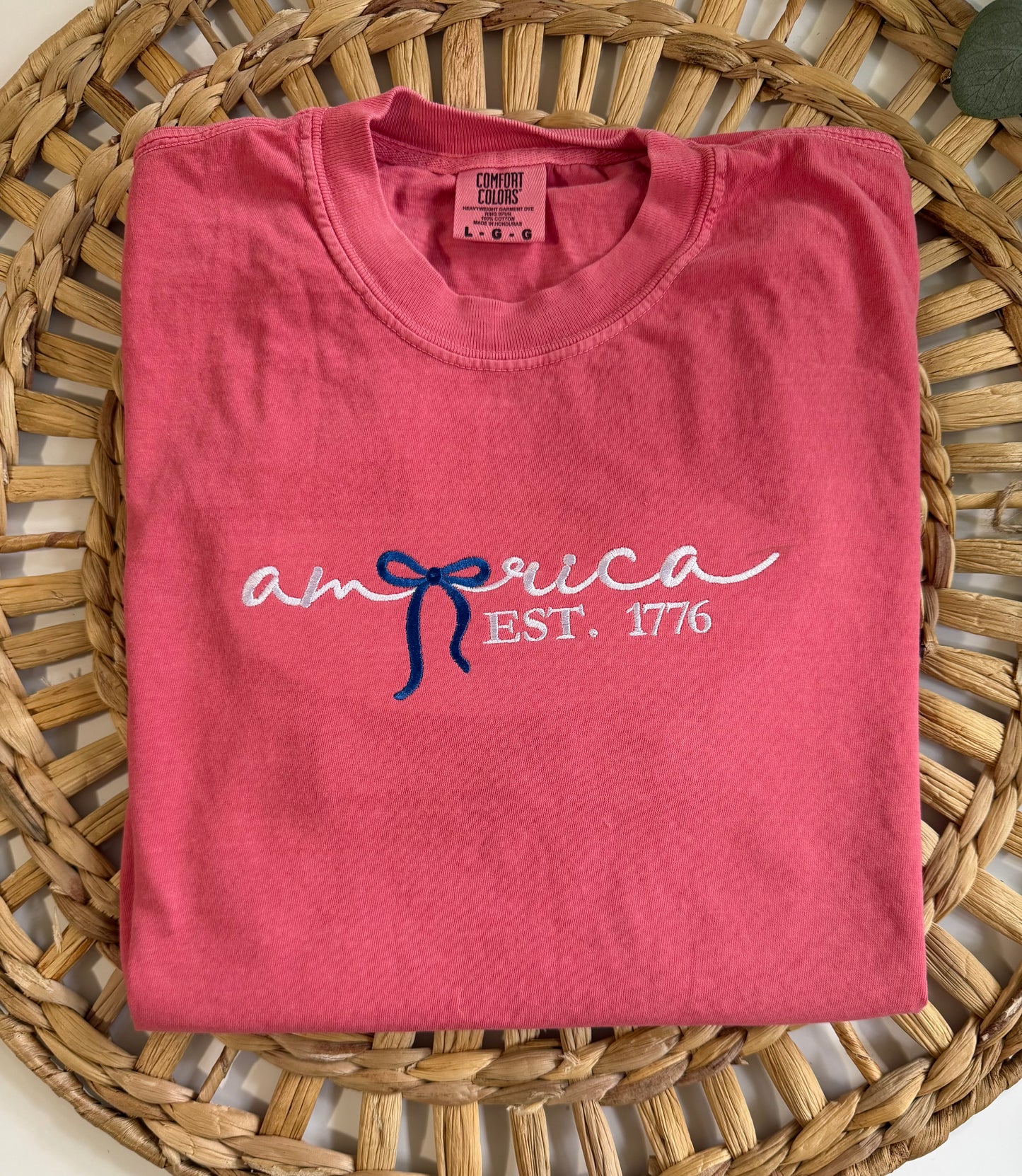 Patriotic America embroidered tee shirt