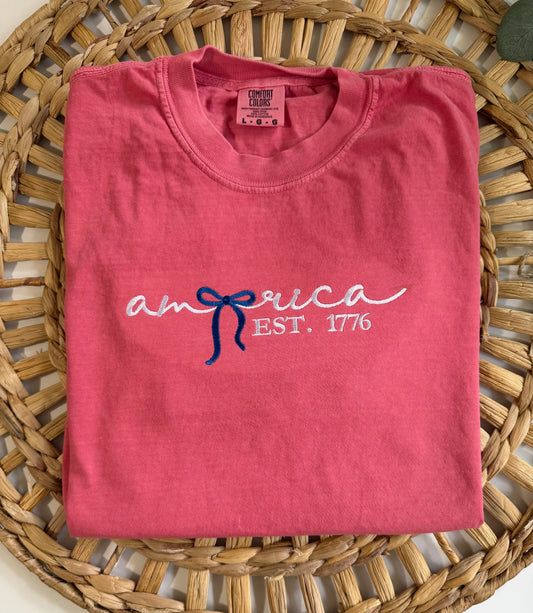 Patriotic America embroidered tee shirt